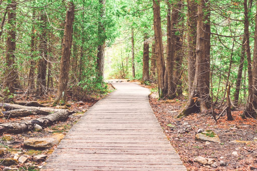 5 of the Best Hiking Trails in Driving Distance of Ypsilanti, MI